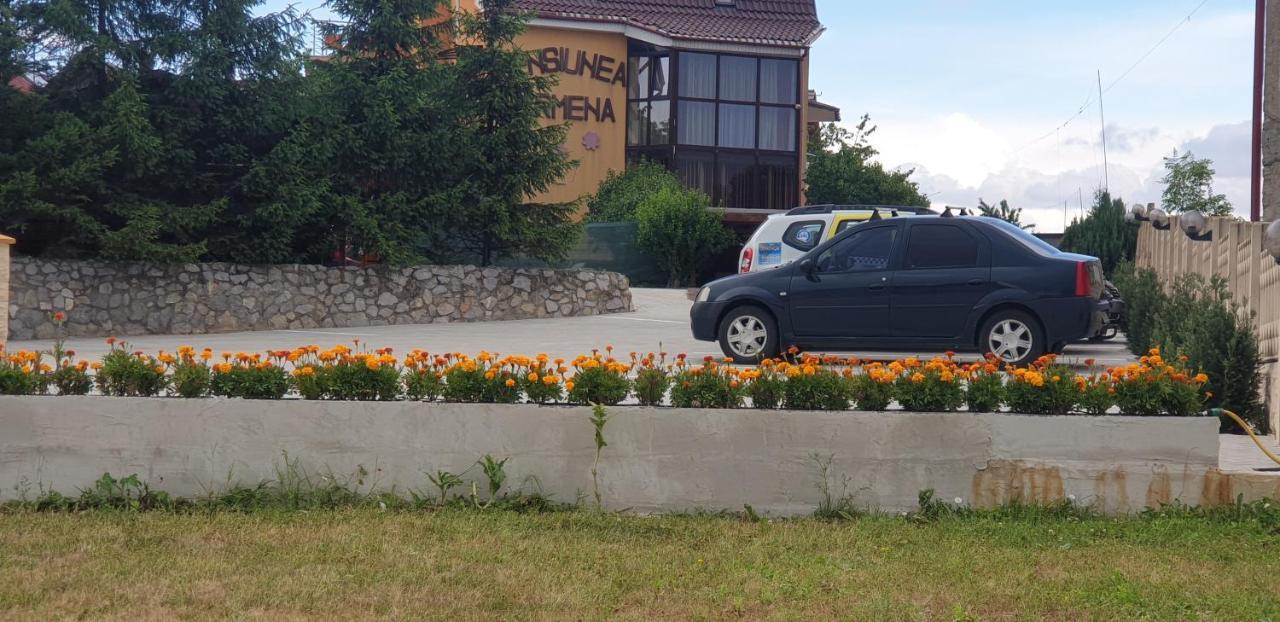 Pensiunea Carmena Baile Felix Bagian luar foto