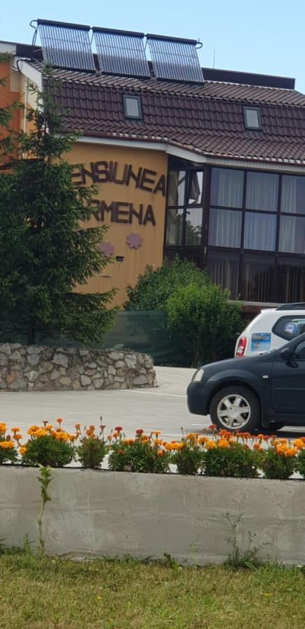 Pensiunea Carmena Baile Felix Bagian luar foto
