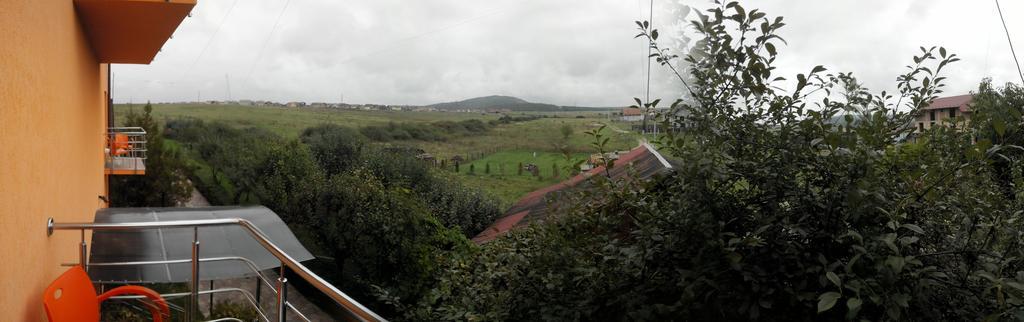 Pensiunea Carmena Baile Felix Bagian luar foto